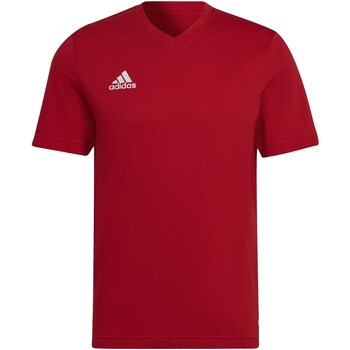 textil Hombre Tops y Camisetas adidas Originals Ent22 Tee Rojo