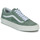 Zapatos Zapatillas bajas Vans Old Skool Gris / Verde