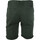 textil Hombre Shorts / Bermudas Rip Curl TWISTED WALKSHORT Multicolor