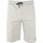 textil Hombre Shorts / Bermudas Fila LEX Gris