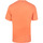 textil Hombre Polos manga corta Champion fluo Crewneck T-Shirt Naranja