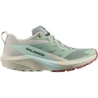 Zapatos Mujer Running / trail Salomon SENSE RIDE 5 W Multicolor