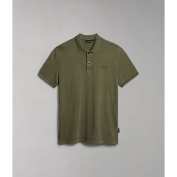 textil Hombre Tops y Camisetas Napapijri ELBAS JERSEY - NP0A4GB4-GAE GREEN LICHEN Verde