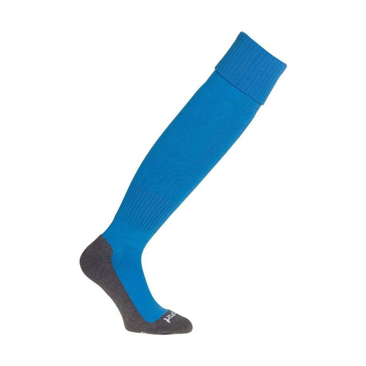Accesorios Complemento para deporte Uhlsport TEAM PRO ESSENTIAL Socks Azul