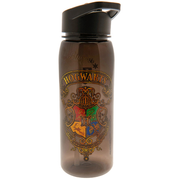Casa Botellas Harry Potter TA10628 Multicolor