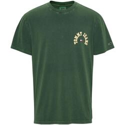 textil Hombre Camisetas manga corta Tommy Hilfiger DM0DM16830 L2M Verde