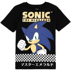 textil Niño Camisetas manga corta Sonic The Hedgehog NS7170 Negro