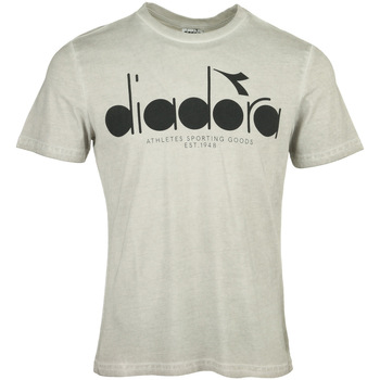 textil Hombre Camisetas manga corta Diadora T-shirt 5Palle Used Gris