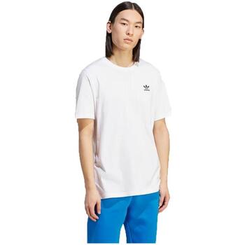 textil Hombre Camisetas manga corta adidas Originals IM4539 Blanco
