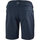 textil Mujer Shorts / Bermudas Helly Hansen W QD CARGO SHORTS Azul