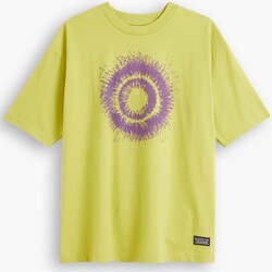 textil Hombre Camisetas manga corta Levi's Camiseta Levi's® Skateboarding Graphic Boxy Tee A1005-0007 Multicolor