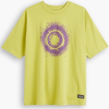 textil Hombre Camisetas manga corta Levi's Camiseta Levi's® Skateboarding Graphic Boxy Tee A1005-0007 Multicolor
