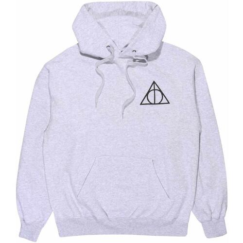 textil Sudaderas Harry Potter Nothing To Fear Gris