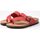 Zapatos Mujer Sandalias Interbios Sandalias  7119 Rojo Rojo