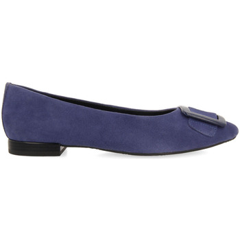 Zapatos Mujer Bailarinas-manoletinas Gioseppo ballstad Azul