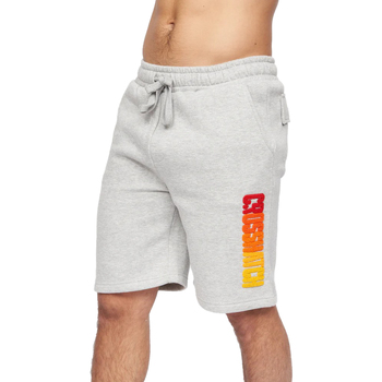 textil Hombre Shorts / Bermudas Crosshatch BG891 Gris