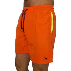 textil Hombre Shorts / Bermudas Bewley And Ritch Sand Naranja