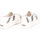 Zapatos Mujer Deportivas Moda Superga 2790 Lettering Tape Jellysole Blanco