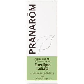Casa Velas / difusor Pranarôm Aceite Esencial eucalipto Radiata 