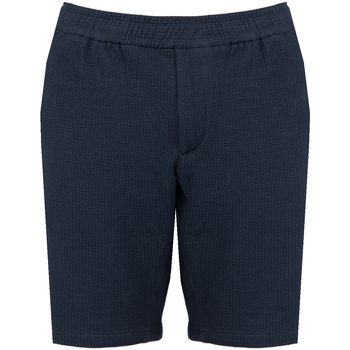 textil Hombre Shorts / Bermudas Tommy Hilfiger MW0MW23830 Azul