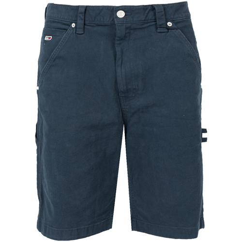 textil Hombre Shorts / Bermudas Tommy Hilfiger DM0DM13226 Azul