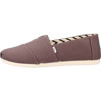 Toms ASH RECYCLED COTTON CANVAS Marrón