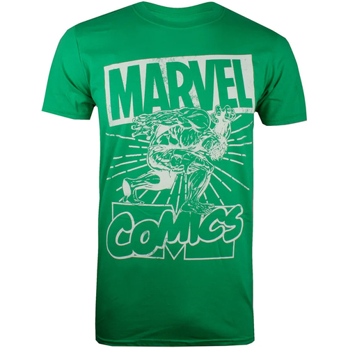 textil Hombre Camisetas manga larga Hulk Lift Verde