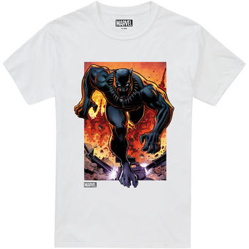 textil Hombre Camisetas manga larga Black Panther  Blanco
