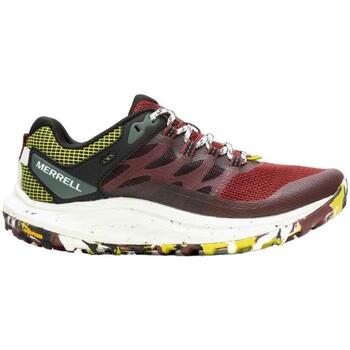 Zapatos Mujer Running / trail Merrell J067828 Multicolor