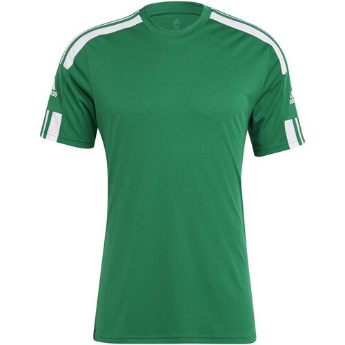 textil Hombre Tops y Camisetas adidas Originals Squad 21 Jsy Ss Teagrn/White Verde