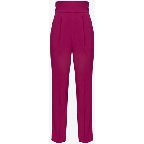 textil Mujer Pantalones Pinko 1000527624 Violeta