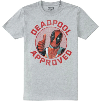 textil Hombre Camisetas manga larga Deadpool  Gris