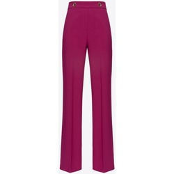 textil Mujer Pantalones Pinko 100055A14I Violeta