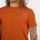 textil Hombre Camisetas manga corta Oxbow Tee Marrón