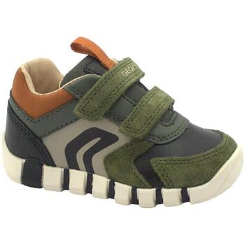 Zapatos Niños Zapatillas bajas Geox GEO-I23-B3555D-GB Verde
