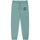 textil Pantalones Franklin & Marshall JM1003.2000P01.SS-123 SAGE GRREN Verde