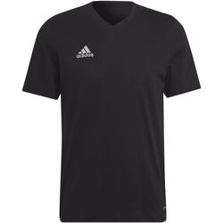 textil Hombre Tops y Camisetas adidas Originals Ent22 Tee Negro