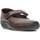 Zapatos Mujer Bailarinas-manoletinas Arcopedico TRIGLAV 4616 Marrón