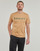 textil Hombre Camisetas manga corta Timberland Camo Linear Logo Short Sleeve Tee Beige