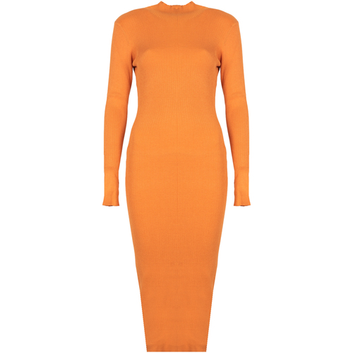 textil Mujer Vestidos cortos Silvian Heach PGA22208VE Naranja