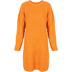 textil Mujer Vestidos cortos Silvian Heach PGA22285VE Naranja