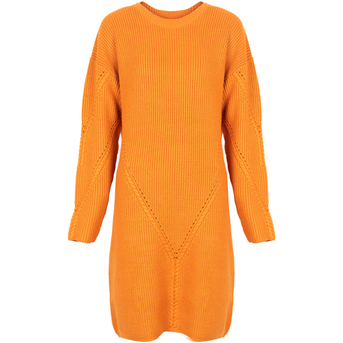 textil Mujer Vestidos cortos Silvian Heach PGA22285VE Naranja