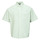 textil Hombre Camisas manga corta Element CAMBRIDGE SS Blanco / Gris / Verde