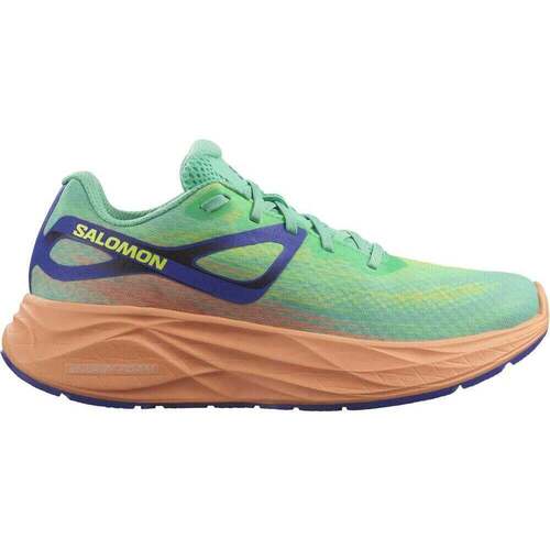 Zapatos Mujer Running / trail Salomon AERO GLIDE W Multicolor
