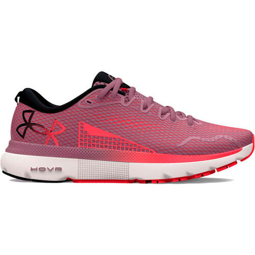 Zapatos Mujer Running / trail Under Armour UA W HOVR Infinite 5 Gris