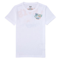 textil Niño Camisetas manga corta Levi's SCENIC SUMMER TEE Multicolor / Blanco