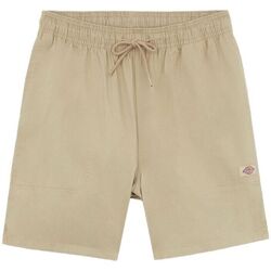 textil Hombre Shorts / Bermudas Dickies Pantalones cortos Pelican Rapids Hombre Desert Sand Beige