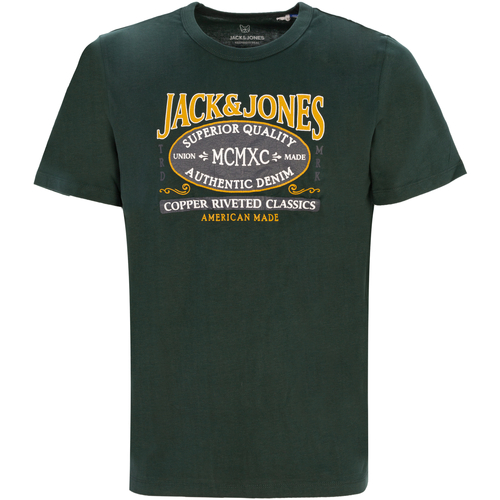 textil Niño Camisetas manga corta Jack & Jones 12213404 JJNEWDENIM TEE SS CREW NECK JNR PINE GROVE Verde