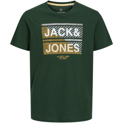 textil Niño Camisetas manga corta Jack & Jones 12237032 JJKAIN TEE SS CREW NECK JNR MOUNTAIN VIEW Verde