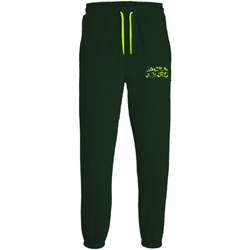 textil Niño Pantalones Jack & Jones 12237173 JPSTGORDON JJMILES SWEAT PANT JNR MOUNTAIN VIEW Verde